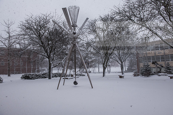 WinterSnowfall0225AWB_4165