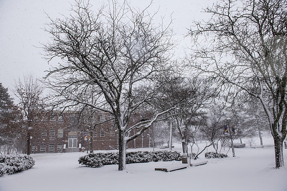 WinterSnowfall0225AWB_4171