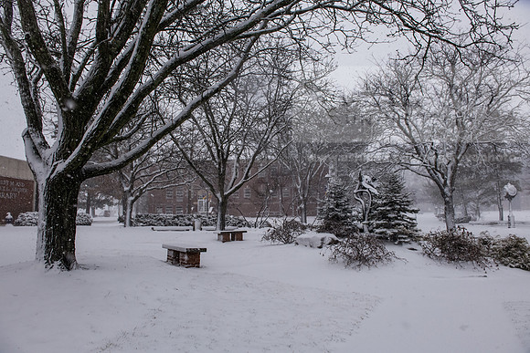 WinterSnowfall0225AWB_4175