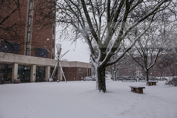 WinterSnowfall0225AWB_4179