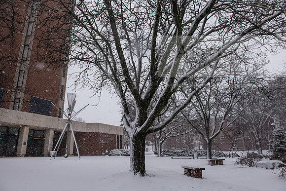 WinterSnowfall0225AWB_4181