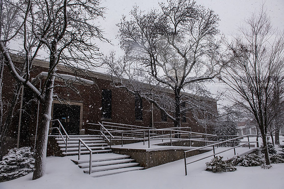 WinterSnowfall0225AWB_4207