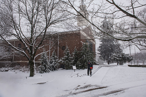 WinterSnowfall0225AWB_4213