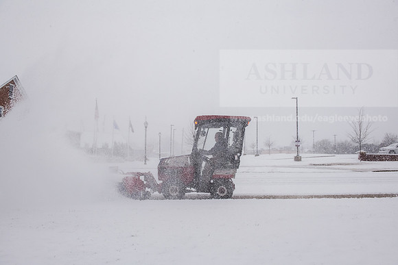 WinterSnowfall0225AWB_4231