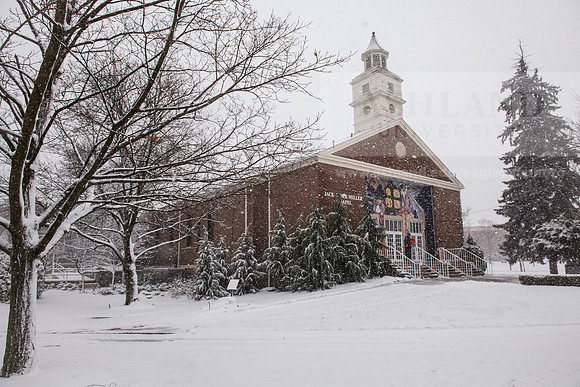 WinterSnowfall0225AWB_4239