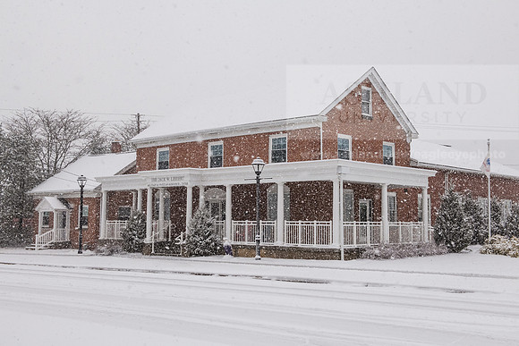 WinterSnowfall0225AWB_4251