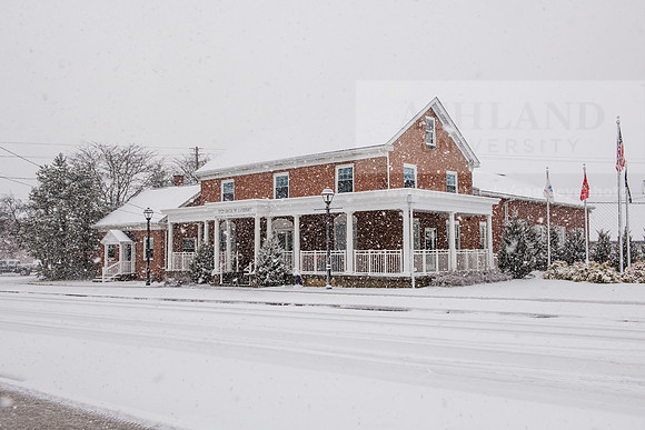 WinterSnowfall0225AWB_4254