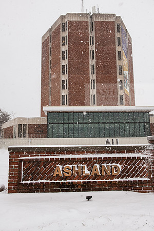 WinterSnowfall0225AWB_4286