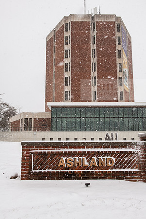 WinterSnowfall0225AWB_4288