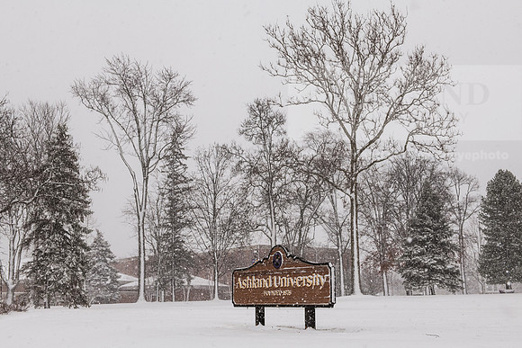 WinterSnowfall0225AWB_4294