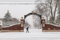 Winter Storm, Campus Landscape Feb 2025