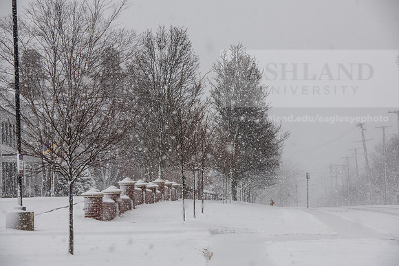 WinterSnowfall0225AWB_4433