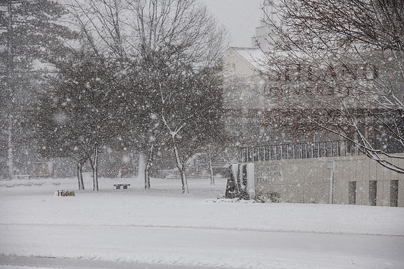 WinterSnowfall0225AWB_4435