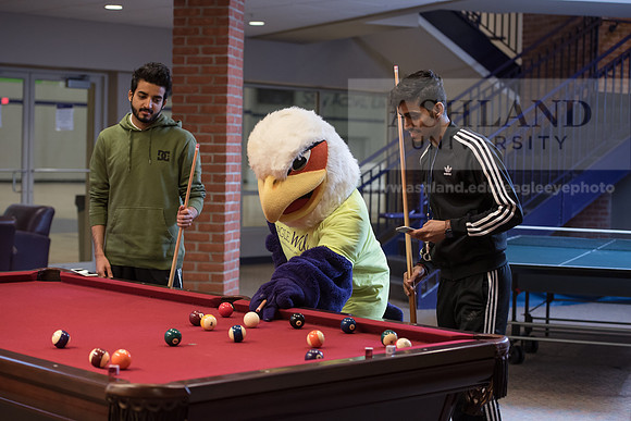 Tuffy - Campus Wellness Program