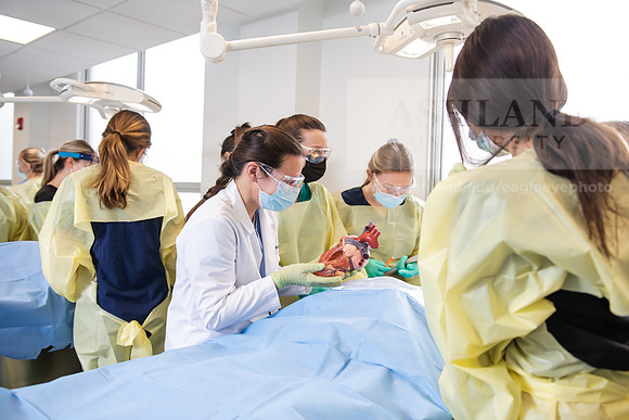 PAProgramCadaverLab1221ALW_4058