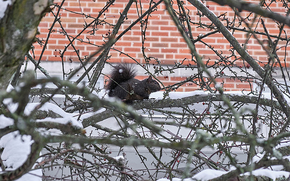 WinterCampus0117AP_DSCF5615