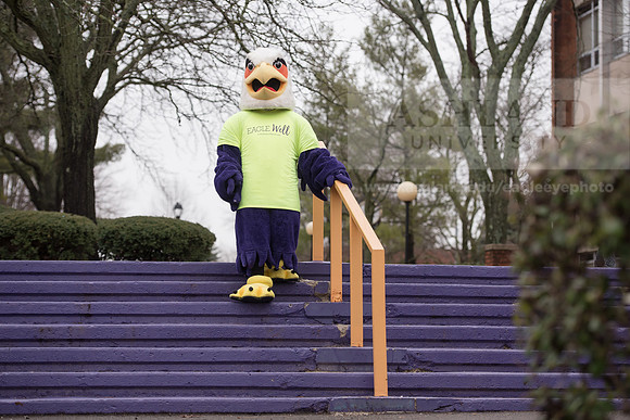 Tuffy - Campus Wellness Program
