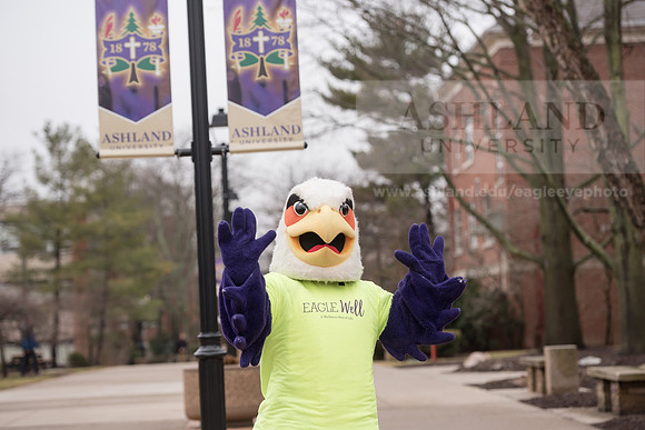 Tuffy - Campus Wellness Program