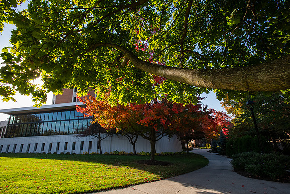 FallCampusLife1024AWB_5184