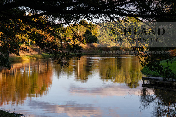 BrooksideParkWest1025AWB_2012