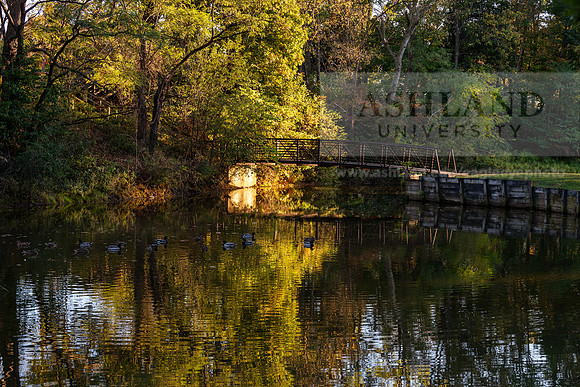 BrooksideParkWest1025AWB_2016