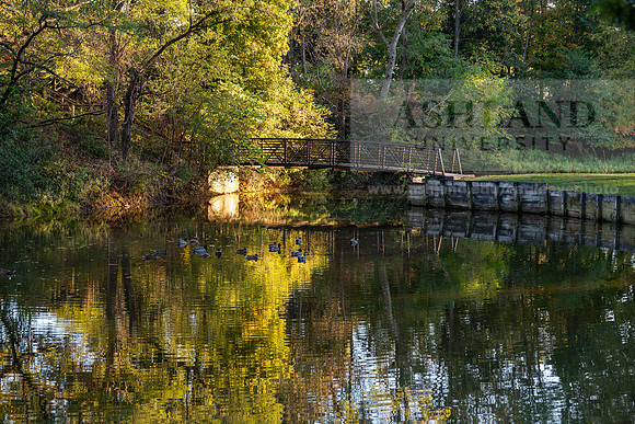 BrooksideParkWest1025AWB_2022
