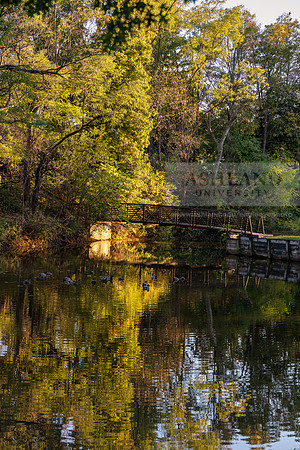BrooksideParkWest1025AWB_2021
