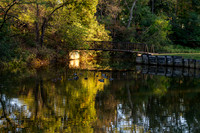 BrooksideParkWest1025AWB_2023