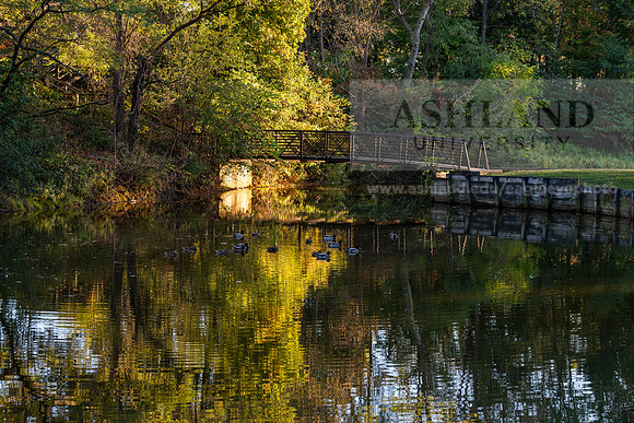 BrooksideParkWest1025AWB_2023
