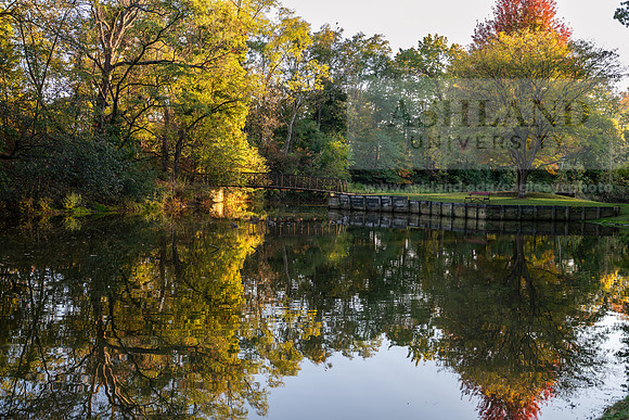 BrooksideParkWest1025AWB_2031