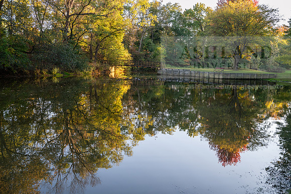 BrooksideParkWest1025AWB_2036