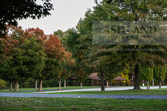 BrooksideParkWest1025AWB_2256