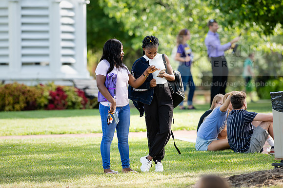 FestivalOnFounders0819ALW_9396