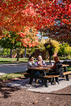 FallCampusLife1024AWB_5964