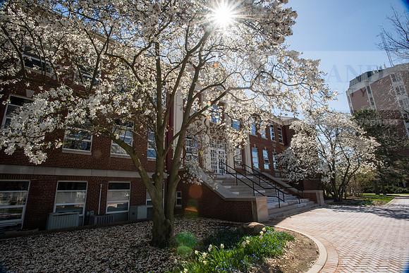 SpringCampusLife0423ALW_1541