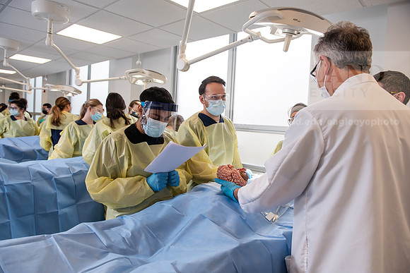 PAProgramCadaverLab1221ALW_4000