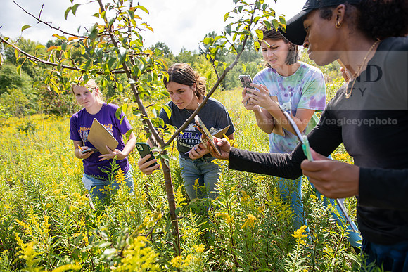 BioEcology_StofferPerserve0923AWB_4146
