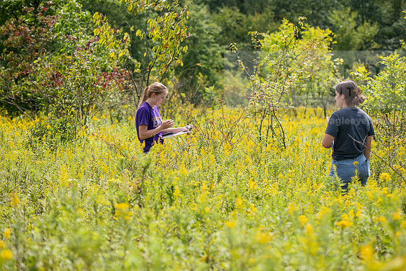 BioEcology_StofferPerserve0923AWB_3754
