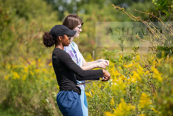 BioEcology_StofferPerserve0923AWB_3782