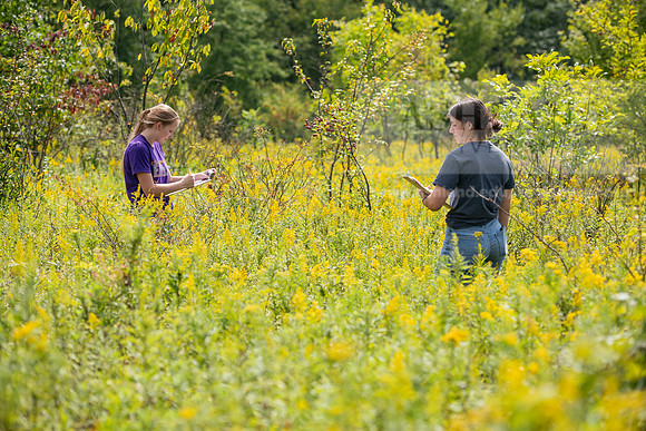 BioEcology_StofferPerserve0923AWB_3755