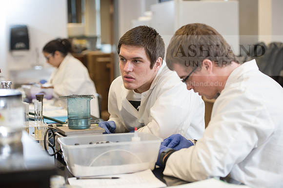 Microbiology Class - Dr. Paul Hyman