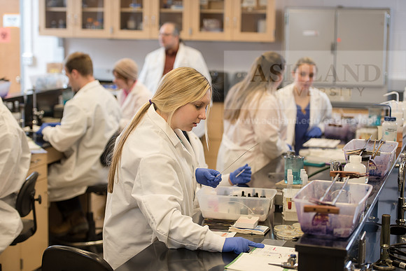 Microbiology Class - Dr. Paul Hyman