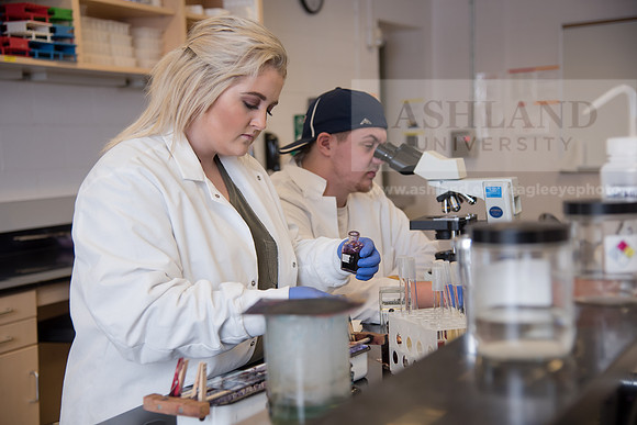Microbiology Class - Dr. Paul Hyman
