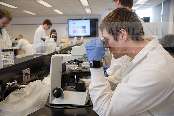 Microbiology Class - Dr. Paul Hyman