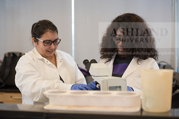 Microbiology Class - Dr. Paul Hyman