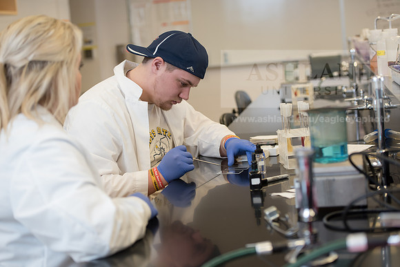 Microbiology Class - Dr. Paul Hyman
