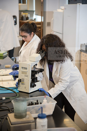 Microbiology Class - Dr. Paul Hyman