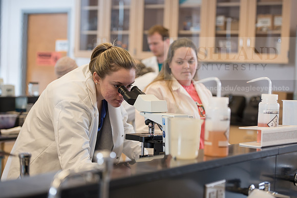 Microbiology Class - Dr. Paul Hyman
