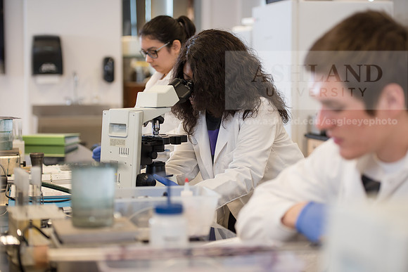 Microbiology Class - Dr. Paul Hyman