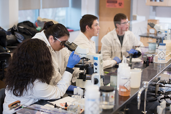 Microbiology Class - Dr. Paul Hyman